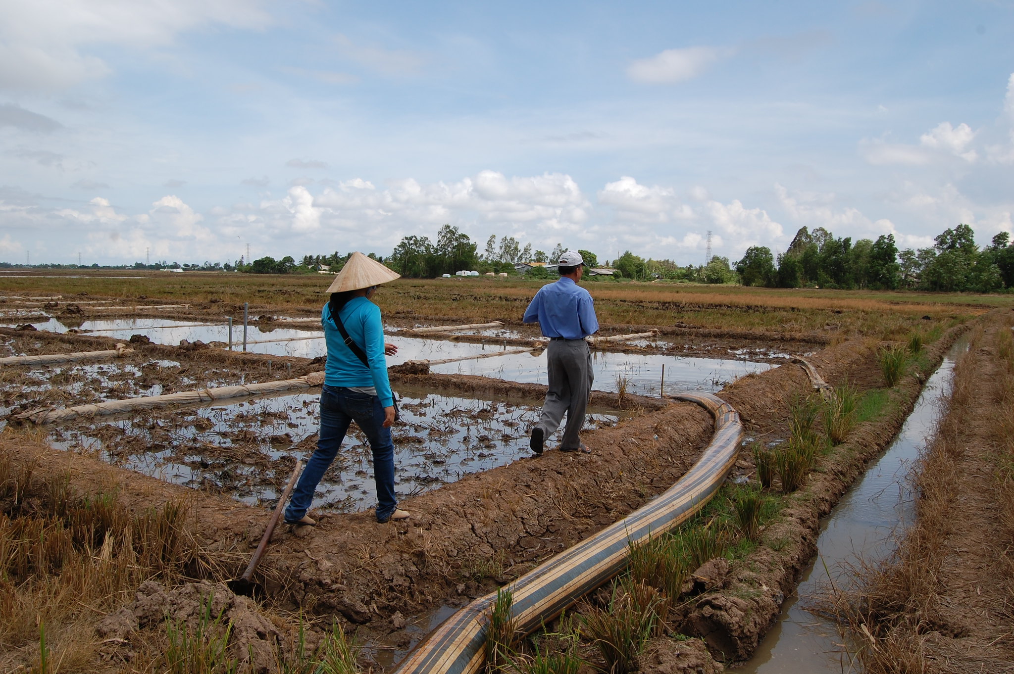 Field trip in Viet Nam, May 2013