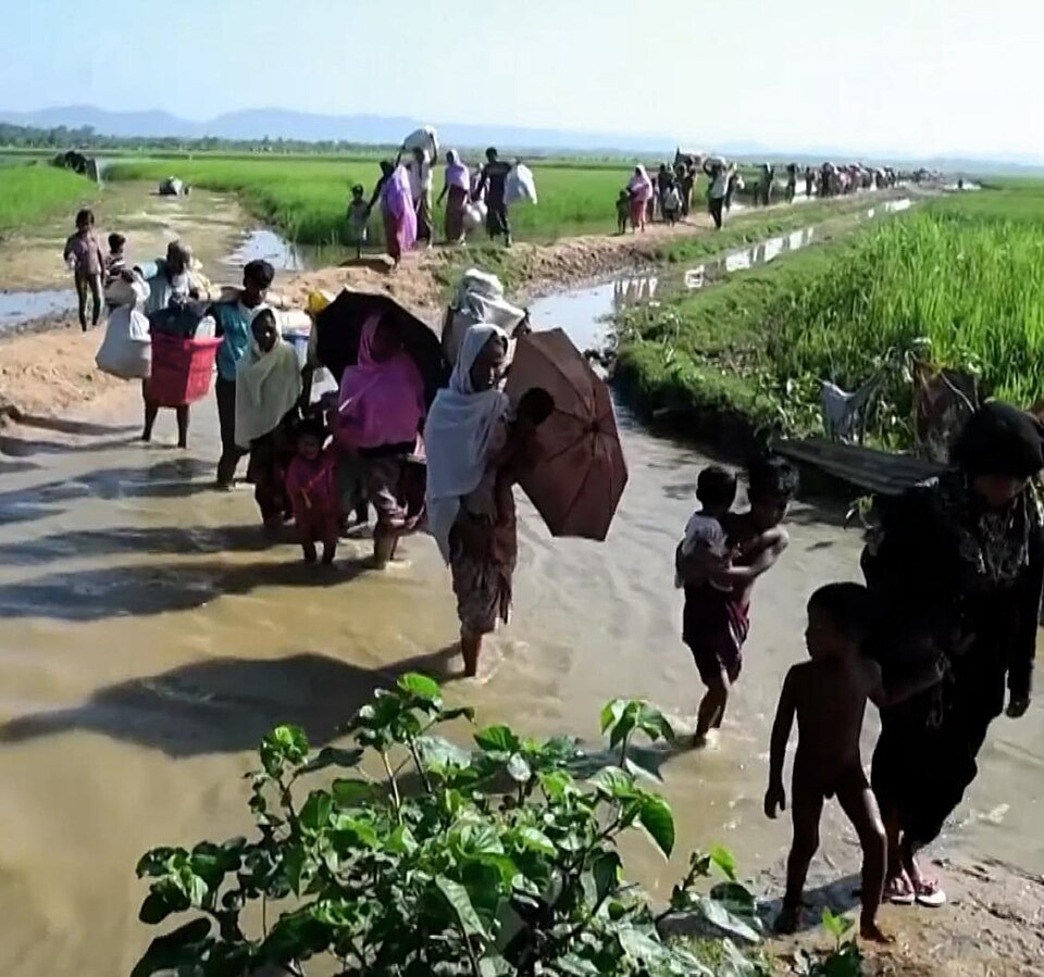 File:Rohingya refugees entering Bangladesh after being driven out of Myanmar, 2017.JPG